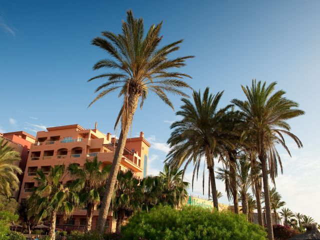 صورة الفندق 24