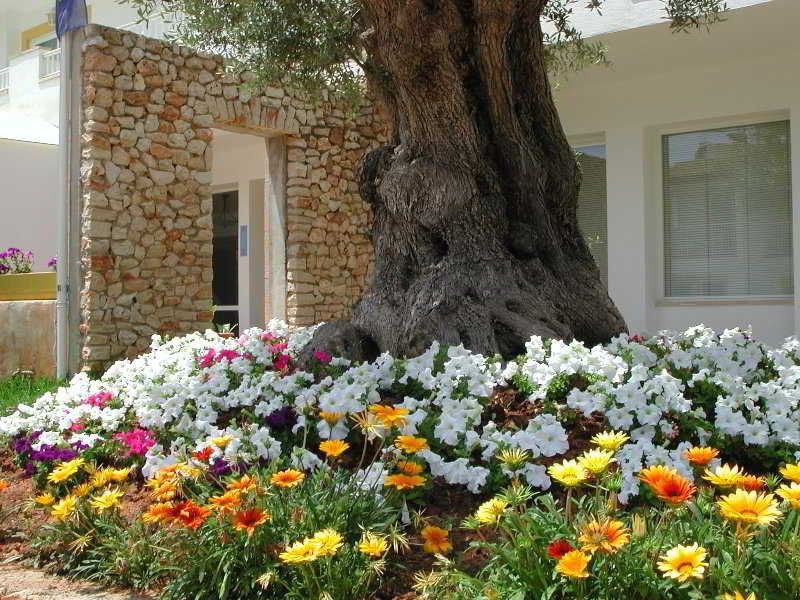 صورة الفندق 15