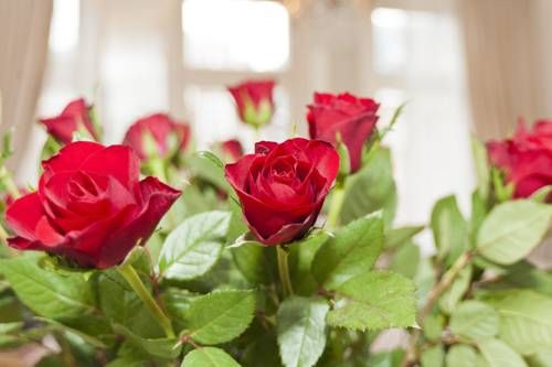 صورة الفندق 14