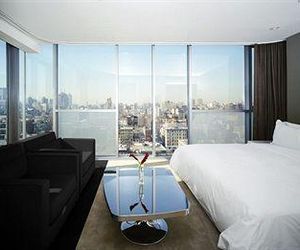Hotel on Rivington New York City United States