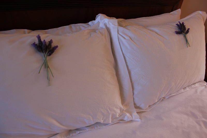 صورة الفندق 18
