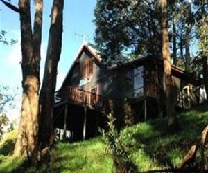 Tree Tops Cascades New Town Australia