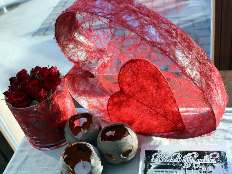 صورة الفندق 13