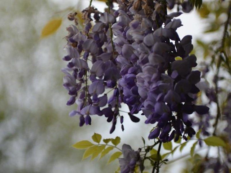 صورة الفندق 1