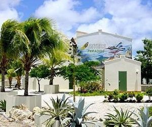 Divers Paradise Bonaire Kralendijk Netherlands Antilles