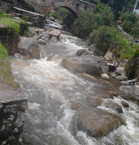 صورة الفندق 19