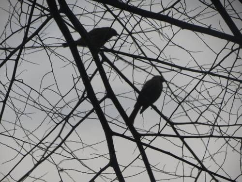 صورة الفندق 19