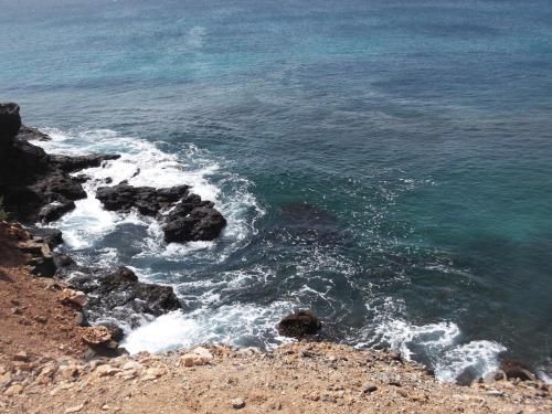 صورة الفندق 19