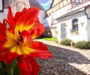 3 Seiten Ferienwohnung Jena Germany