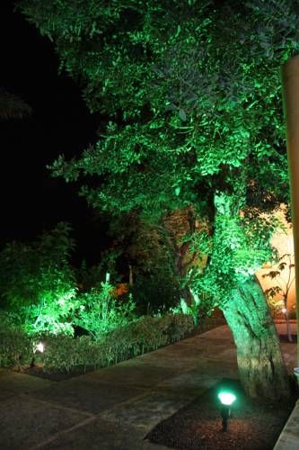 صورة الفندق 21