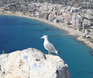 Apartment in Calpe Calpe Spain