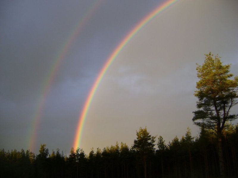 صورة الفندق 12