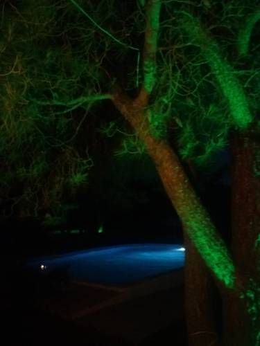 صورة الفندق 18