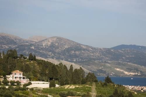 صورة الفندق 24