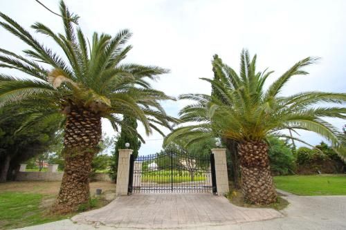 صورة الفندق 19