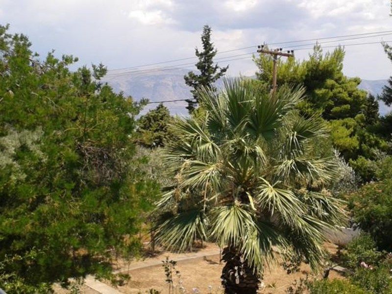 صورة الفندق 3