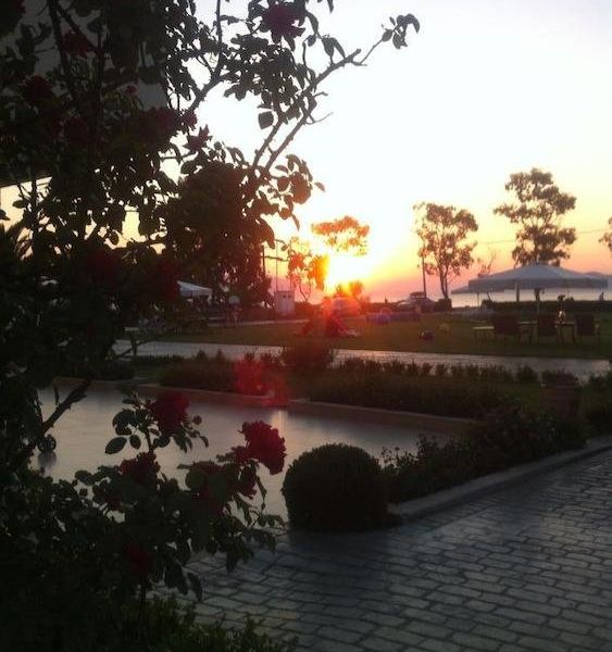 صورة الفندق 21
