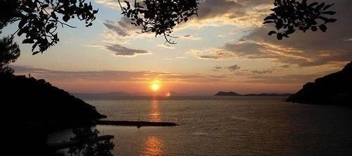 صورة الفندق 20