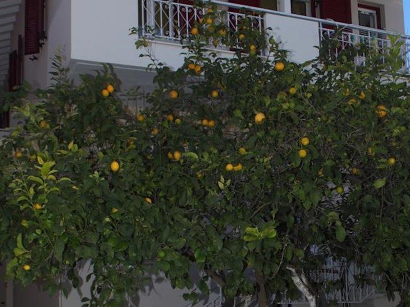 صورة الفندق 1