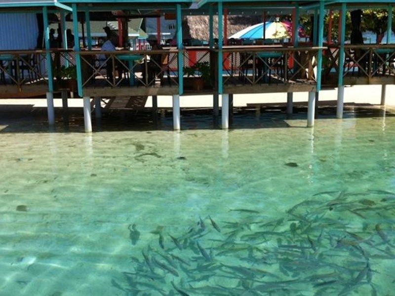 صورة الفندق 16