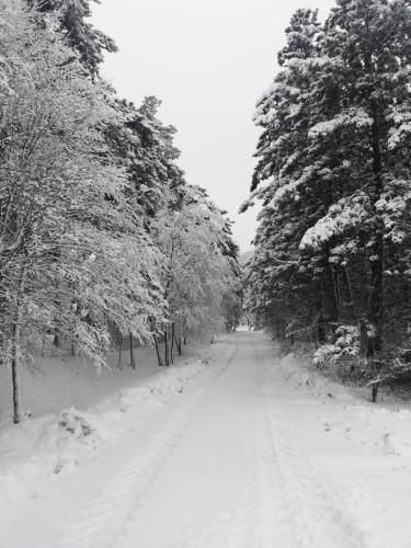 صورة الفندق 24