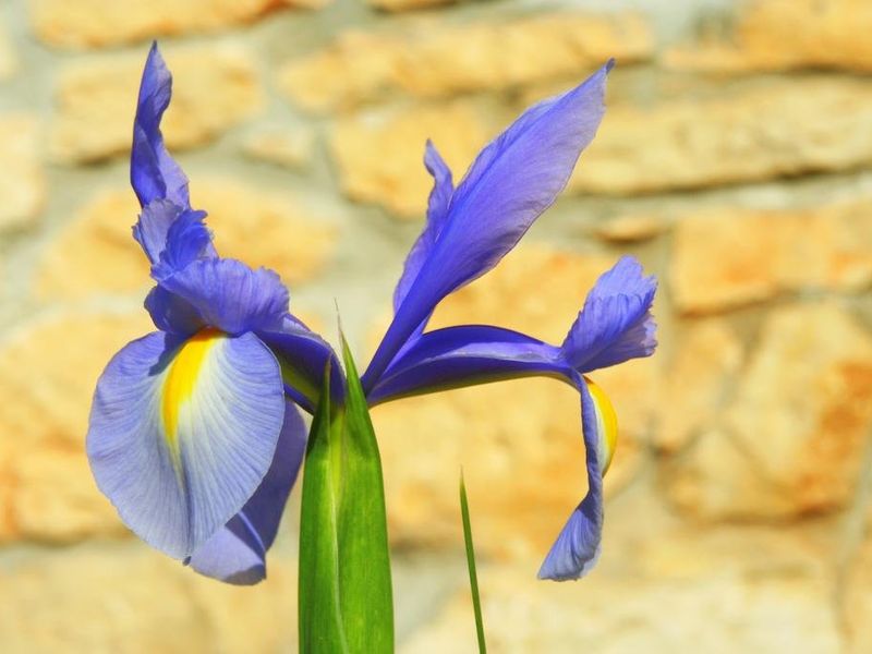 صورة الفندق 17