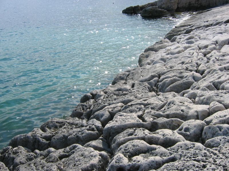 صورة الفندق 21
