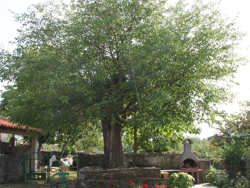صورة الفندق 23