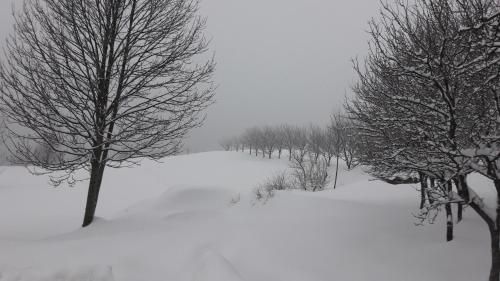 صورة الفندق 5