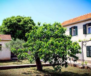 Holiday Home Dalmatian House MM Pasman Croatia