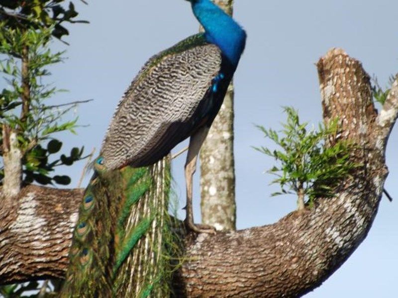 صورة الفندق 1