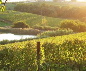 BIO AGRITURISMO IL FONDACCIO Vinci Italy