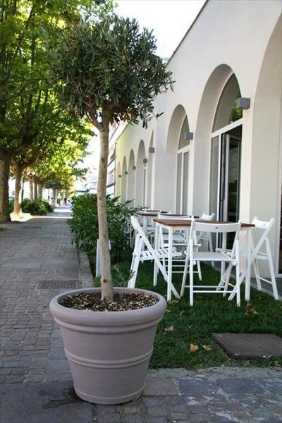 صورة الفندق 21
