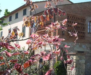 DI CAMERELLA Capannori Italy