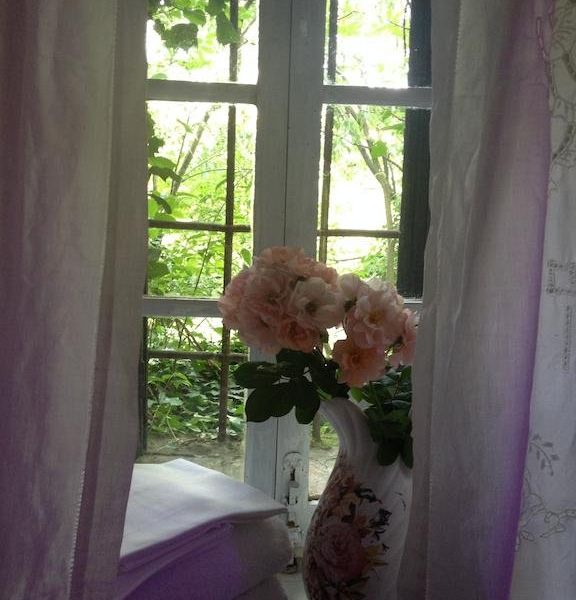 صورة الفندق 16
