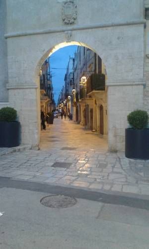 صورة الفندق 24