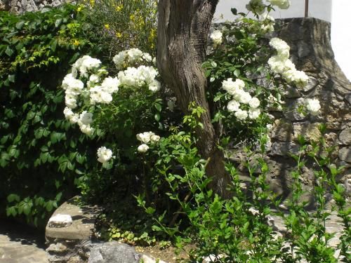 صورة الفندق 22