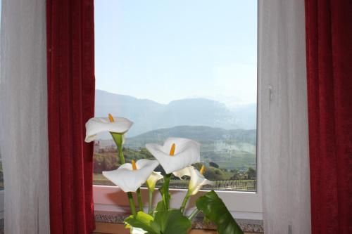 صورة الفندق 20