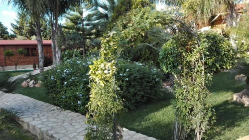 صورة الفندق 17