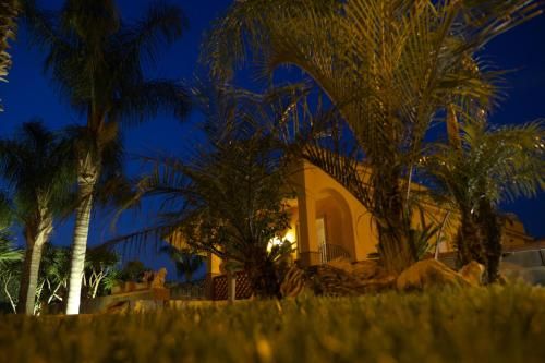صورة الفندق 24