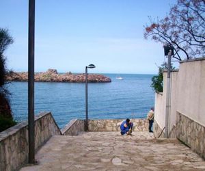 ALBERO DI MARE Sveti Stefan Montenegro