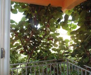 Apartments Macaso Bar Montenegro