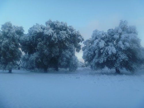 صورة الفندق 17
