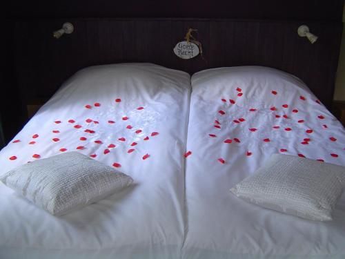 صورة الفندق 23