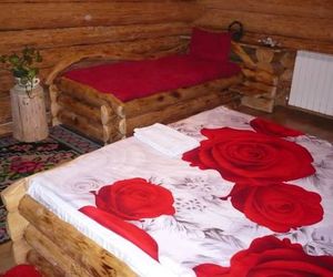 Cabana Vultur Vatra Dornei Romania
