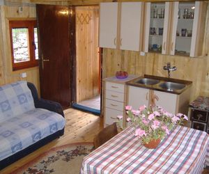 HOLIDAY HOMES OKO Zlatibor Serbia