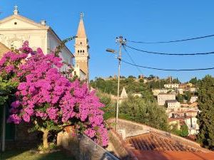 Holiday Home Amazing View Piran Slovenia