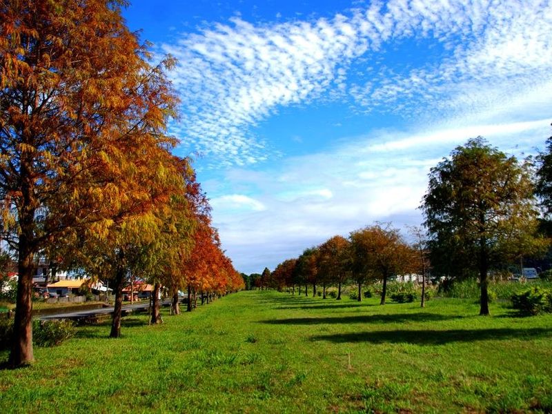 صورة الفندق 19