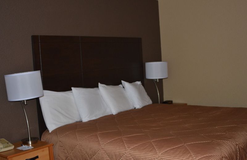 Boarders Inn and Suites by Cobblestone Hotels – Fayette