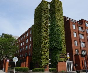 Lad Lane Apartments - Campus Accommodation Dublin Ireland